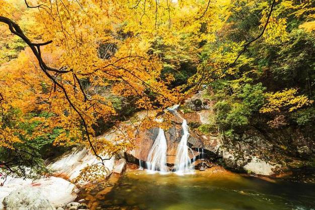 线 成都游玩六天五晚攻略 四川旅游景点尊龙人生就是博四川成都游玩六天行程路(图2)